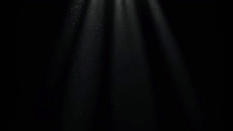Logo Reveal Animations