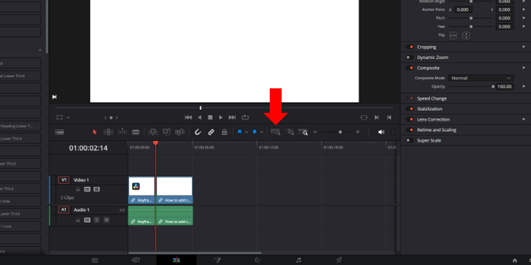 DaVinci Resolve user interface showing the Full Extent Zoom icon