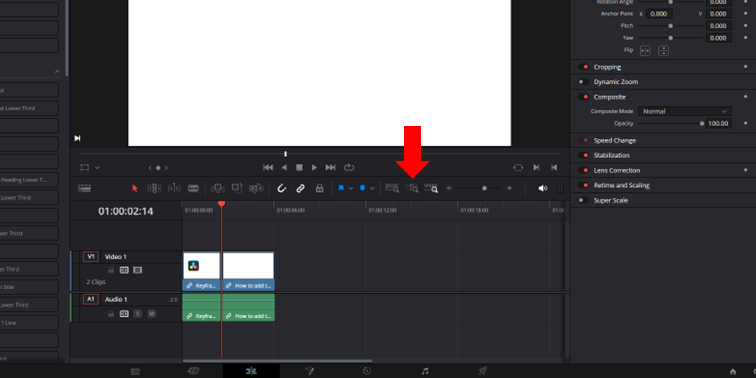 DaVinci Resolve user interface showing the Detail Zoom icon