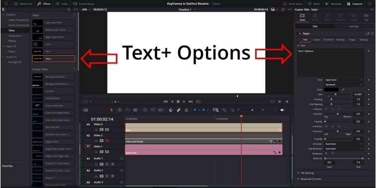 Text+ Options in DaVinci Resolve